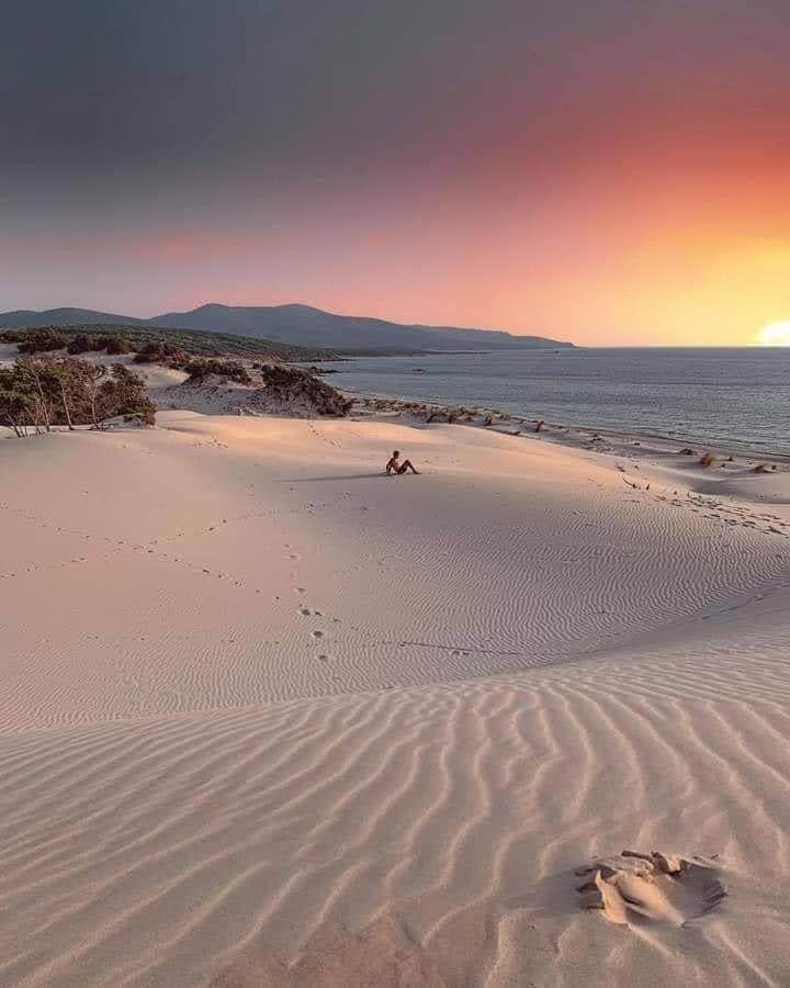 Case Vacanze Il Sogno 2 Porto Pino Pokój zdjęcie